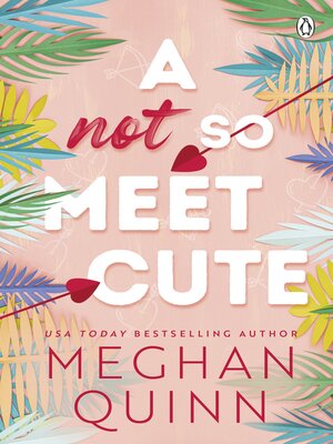 cover image of A Not So Meet Cute